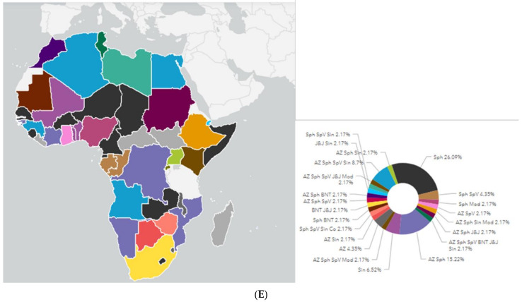 Between Ambitious Strategies and Reality: The African Union Strategy on COVID-19 Vaccine.