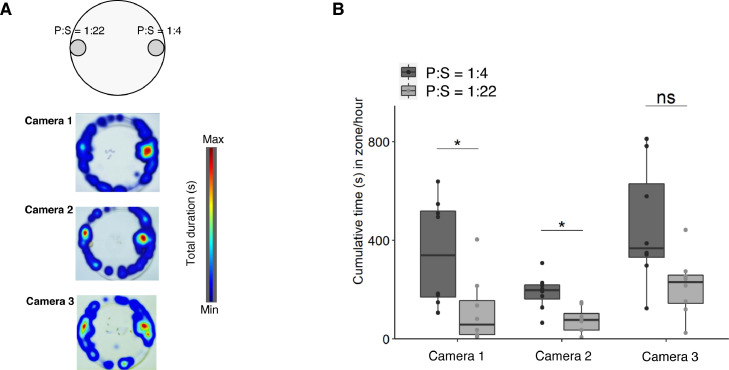 Nutritional phenotype underlines the performance trade-offs of Drosophila suzukii on different fruit diets