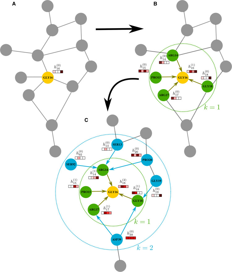 Graph representation learning for structural proteomics.