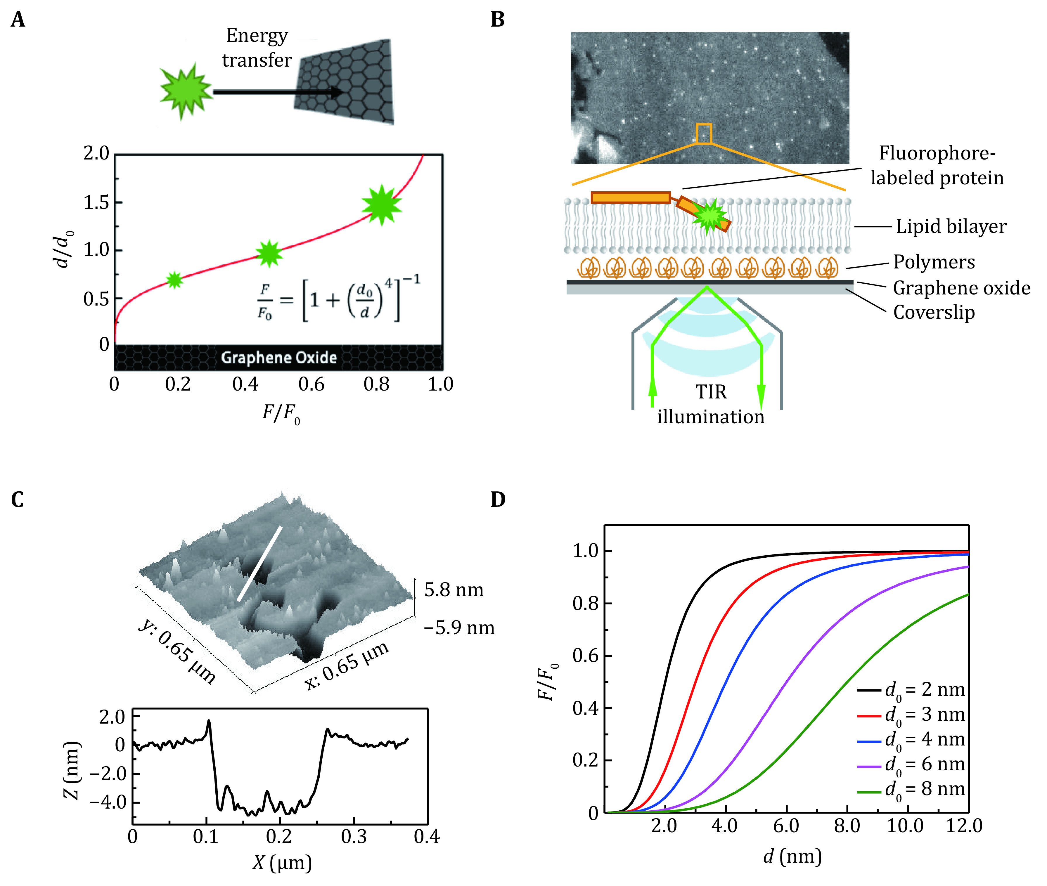 Real-time imaging of structure and dynamics of transmembrane biomolecules by FRET-induced single-molecule fluorescence attenuation.