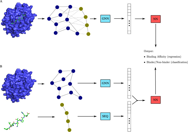 Graph representation learning for structural proteomics.