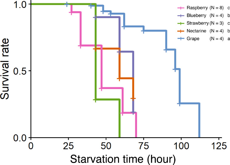 Nutritional phenotype underlines the performance trade-offs of Drosophila suzukii on different fruit diets