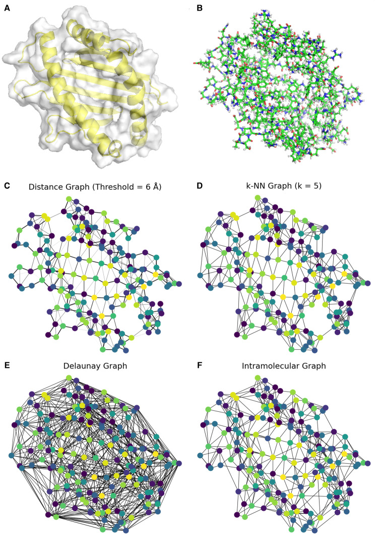 Graph representation learning for structural proteomics.