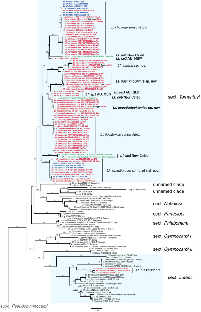 Untangling the <i>Lactifluus clarkeae - Lf. flocktoniae</i>(<i>Russulaceae</i>) species complex in Australasia.