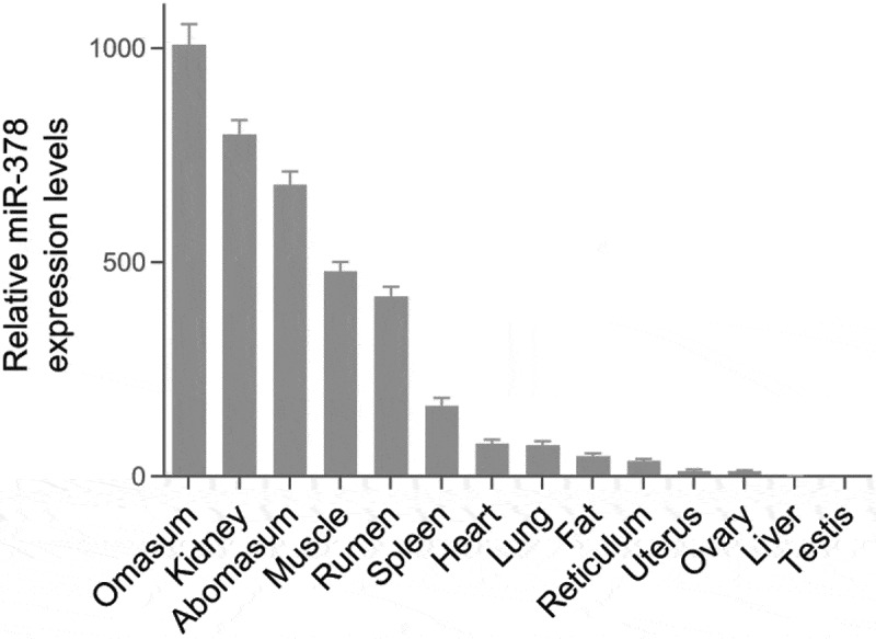 MicroRNA-378 regulates adipogenic differentiation in bovine intramuscular preadipocytes by targeting <i>CaMKK2</i>.