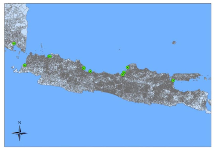 The use of green mussel as bioindicator of heavy metal pollution in Indonesia: a review.