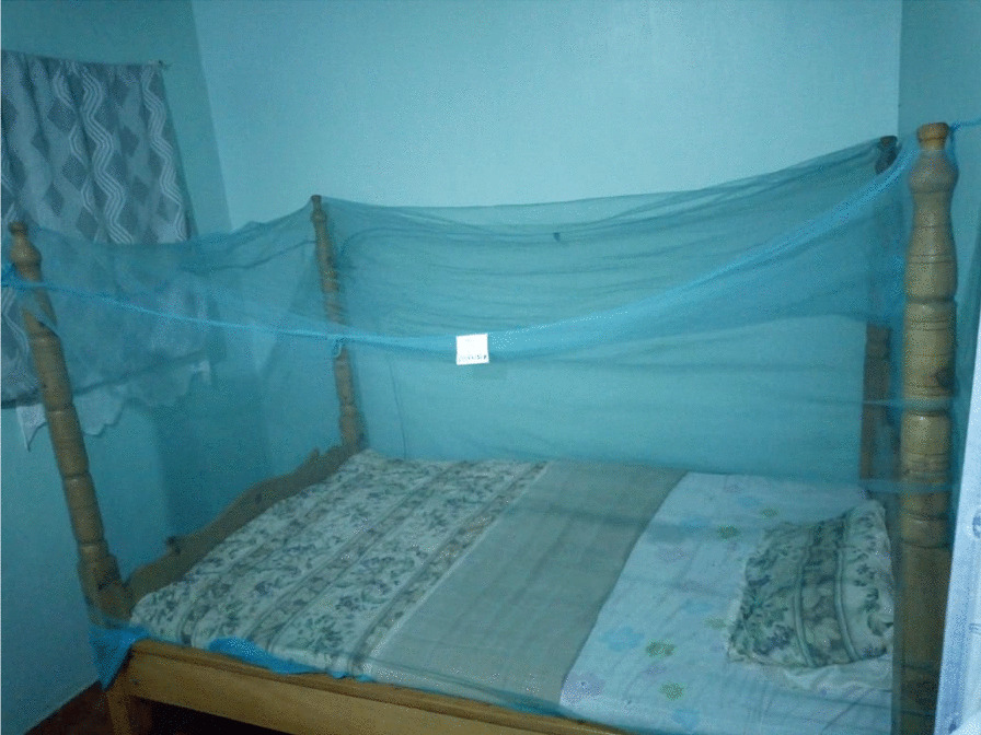 Bioefficacy and durability of Olyset<sup>®</sup> Plus, a permethrin and piperonyl butoxide-treated insecticidal net in a 3-year long trial in Kenya.