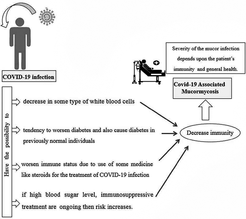 COVID-19-Associated Mucormycosis, A New Incident in Recent Time: Is An Emerging Disease in The Near Future Impending?