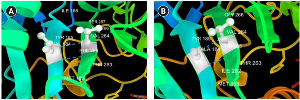 Genetic analysis of the postsynaptic transmembrane X-linked neuroligin 3 gene in autism.