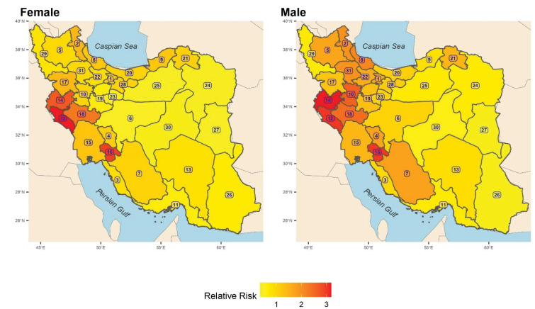 Spatial heterogeneity in gender and age of fatal suicide in Iran.