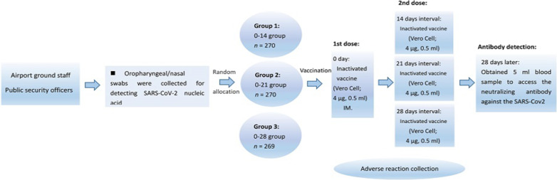 Safety and immunogenicity of inactivated SARS-CoV-2 vaccine in high-risk occupational population: a randomized, parallel, controlled clinical trial.