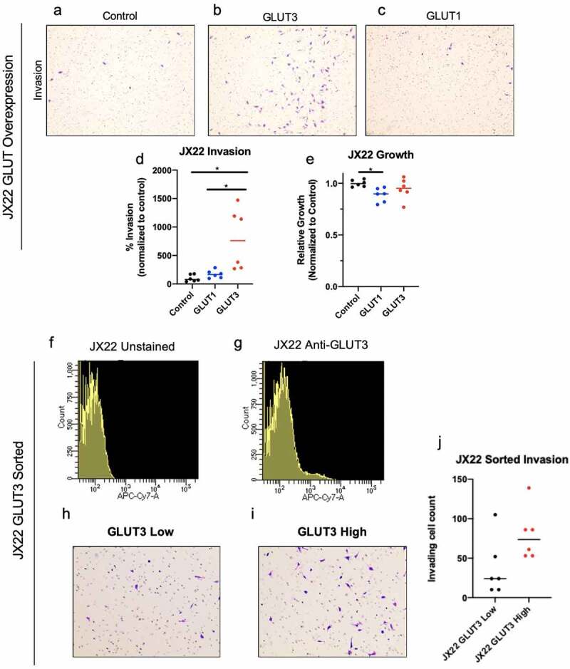 A role for GLUT3 in glioblastoma cell invasion that is not recapitulated by GLUT1.