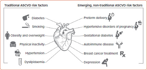 Why We Need Specialised Centres for Women's Hearts: Changing the Face of Cardiovascular Care for Women.