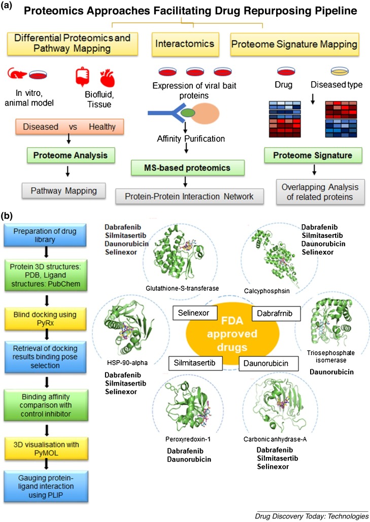 Proteomics advances towards developing SARS-CoV-2 therapeutics using in silico drug repurposing approaches