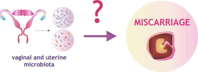 Can <i>Lactobacillus</i> spp. Be a Factor Reducing the Risk of Miscarriage?