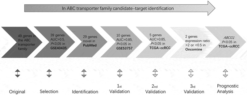 Diagnostic and prognostic value of ABC transporter family member ABCG1 gene in clear cell renal cell carcinoma.