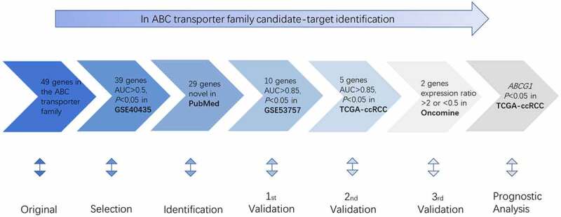 Diagnostic and prognostic value of ABC transporter family member ABCG1 gene in clear cell renal cell carcinoma.