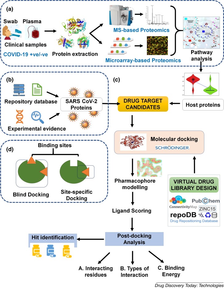 Proteomics advances towards developing SARS-CoV-2 therapeutics using in silico drug repurposing approaches