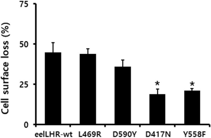 Cell-Surface Loss of Constitutive Activating and Inactivating Mutants of Eel Luteinizing Hormone Receptors.