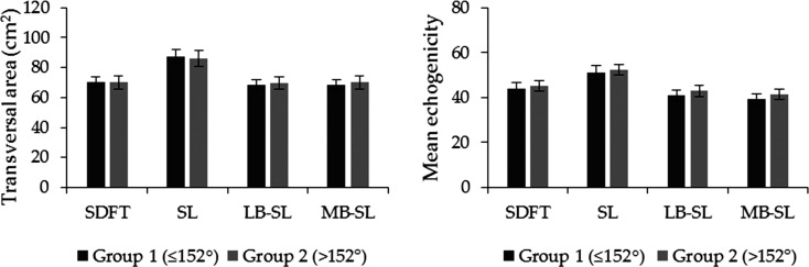 The influence of the metacarpophalangeal joint angle on the transversal area and mean echogenicity of the superficial digital flexor tendon and suspensory ligament in gaited horses.