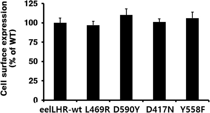 Cell-Surface Loss of Constitutive Activating and Inactivating Mutants of Eel Luteinizing Hormone Receptors.