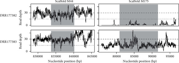 Prediction of the Sex-Associated Genomic Region in Tunas (<i>Thunnus</i> Fishes).