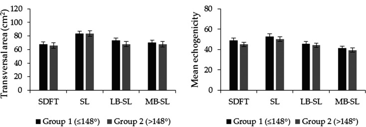 The influence of the metacarpophalangeal joint angle on the transversal area and mean echogenicity of the superficial digital flexor tendon and suspensory ligament in gaited horses.