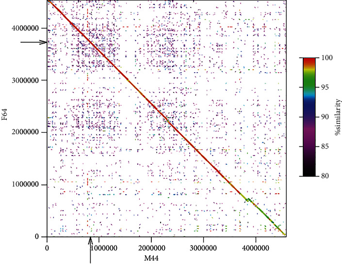 Prediction of the Sex-Associated Genomic Region in Tunas (<i>Thunnus</i> Fishes).