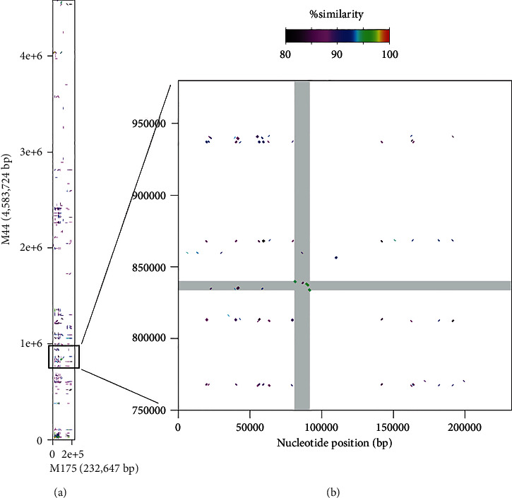 Prediction of the Sex-Associated Genomic Region in Tunas (<i>Thunnus</i> Fishes).