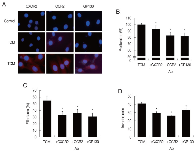 Proliferation of Mouse Prostate Cancer Cells Inflamed by Trichomonas vaginalis.