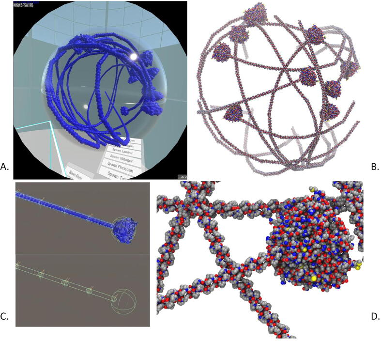 Multiscale modelling of the extracellular matrix