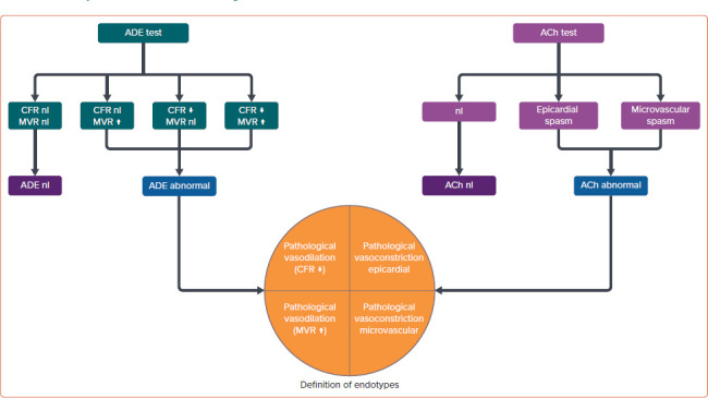 Definitions and Epidemiology of Coronary Functional Abnormalities.