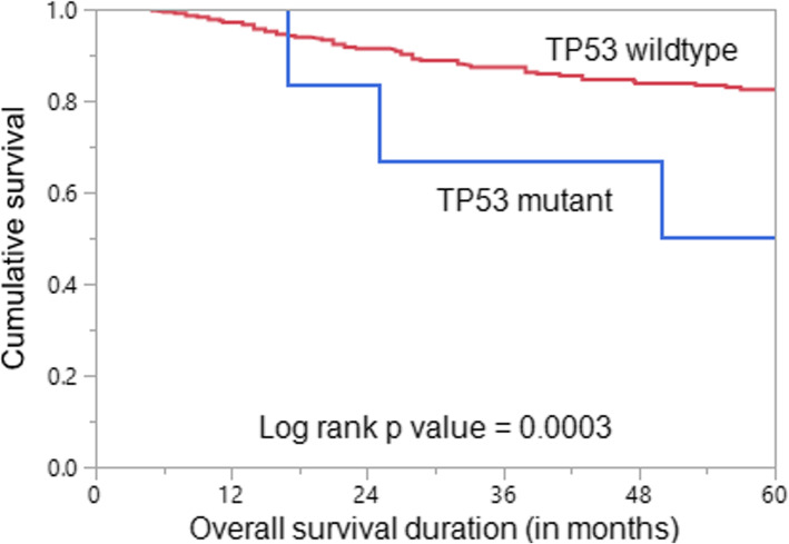 Prevalence of germline TP53 mutation among early onset middle eastern breast cancer patients.