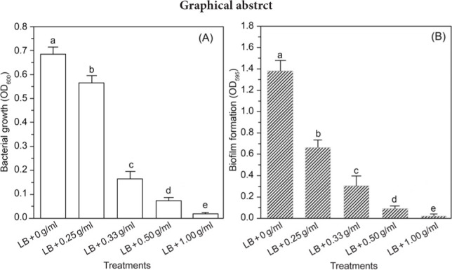 Chemical Components of Aqueous Extracts of <i>Melia azedarach</i> Fruits and Their Effects on The Transcriptome of <i>Staphylococcus aureus</i>.