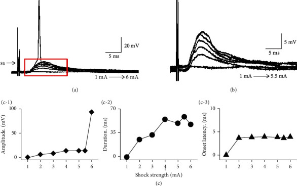 Investigation of Neuron Latency Modulated by Bilateral Inferior Collicular Interactions Using Whole-Cell Patch Clamp Recording in Brain Slices.