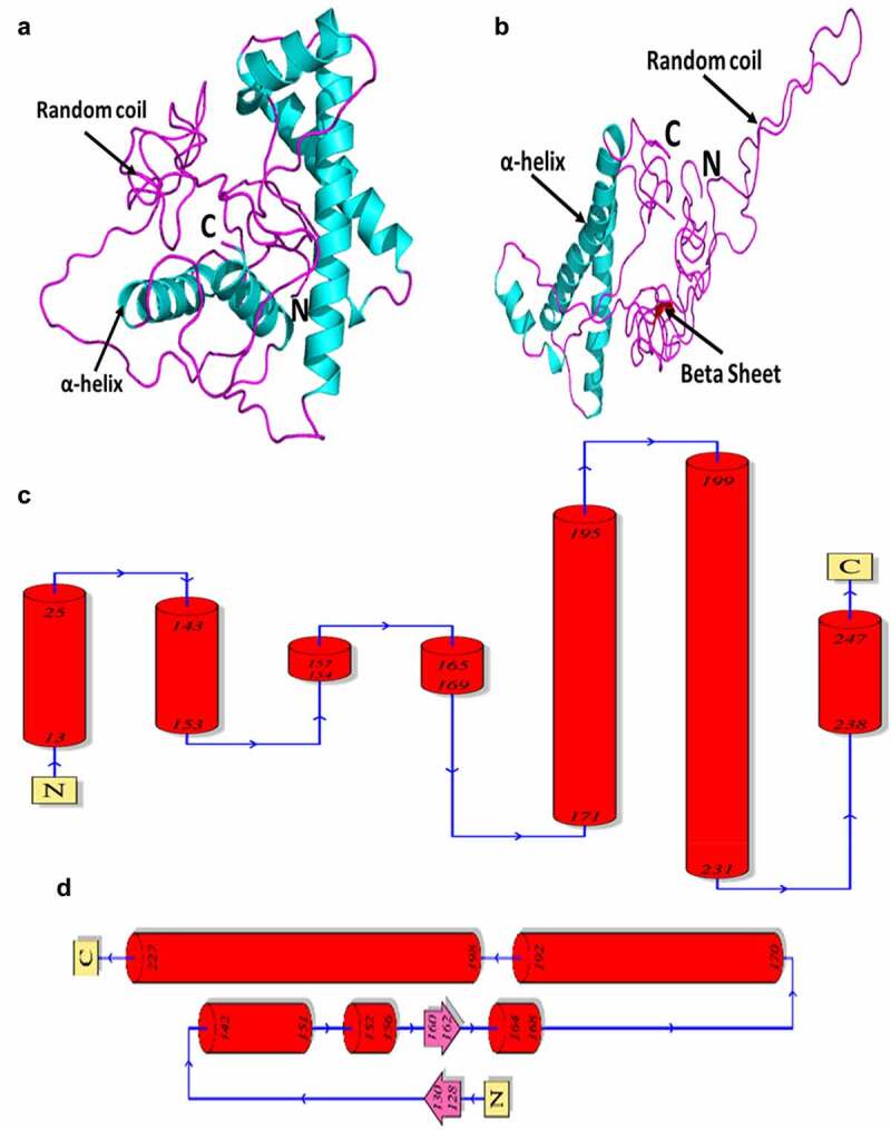 Epitope-specific anti-PrP antibody toxicity: a comparative <i>in-silico</i> study of human and mouse prion proteins.