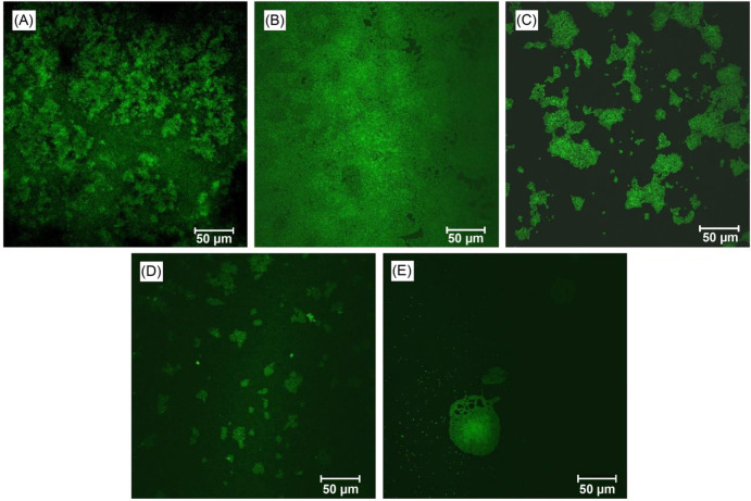 Chemical Components of Aqueous Extracts of <i>Melia azedarach</i> Fruits and Their Effects on The Transcriptome of <i>Staphylococcus aureus</i>.