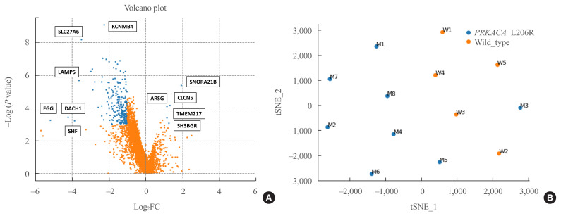 Clinical and Molecular Characteristics of PRKACA L206R Mutant Cortisol-Producing Adenomas in Korean Patients.