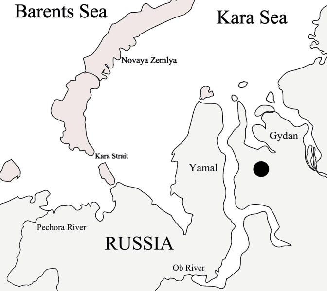 ﻿Karyotype and <i>COI</i> gene sequence of <i>Chironomusheteropilicornis</i> Wülker, 1996 (Diptera, Chironomidae) from the Gydan Peninsula, Russia.