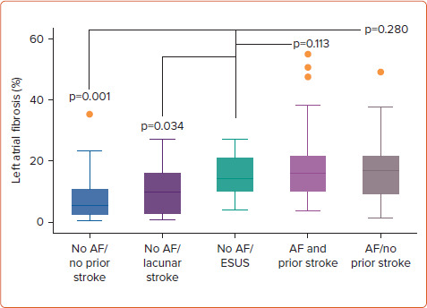 Atrial Fibrosis, Ischaemic Stroke and Atrial Fibrillation.