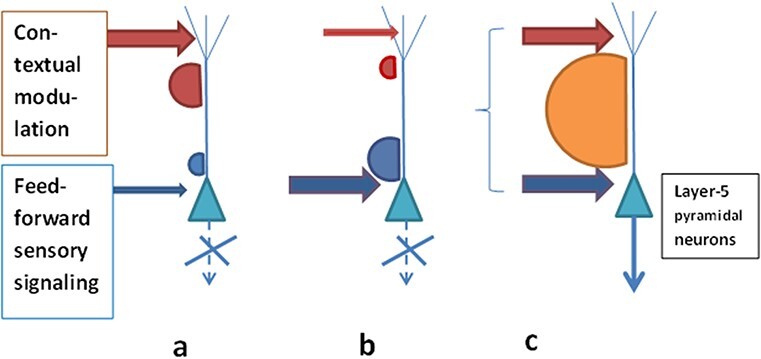 Representational 'touch' and modulatory 'retouch'-two necessary neurobiological processes in thalamocortical interaction for conscious experience.