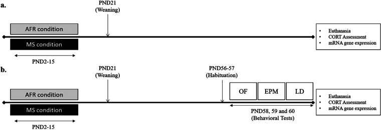 Long-term Effects of Maternal Separation on Anxiety-Like Behavior and Neuroendocrine Parameters in Adult Balb/c Mice.