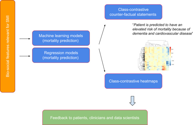 A class-contrastive human-interpretable machine learning approach to predict mortality in severe mental illness.