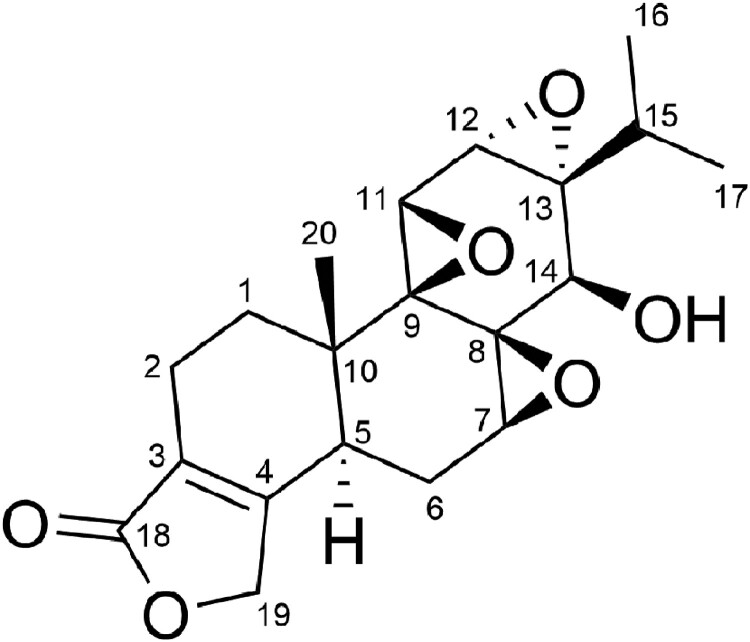 The antioxidant effect of triptolide contributes to the therapy in a collagen-induced arthritis rat model.