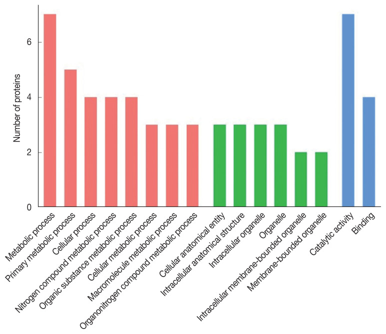 Proteomic and Immunological Identification of Diagnostic Antigens from Spirometra erinaceieuropaei Plerocercoid.