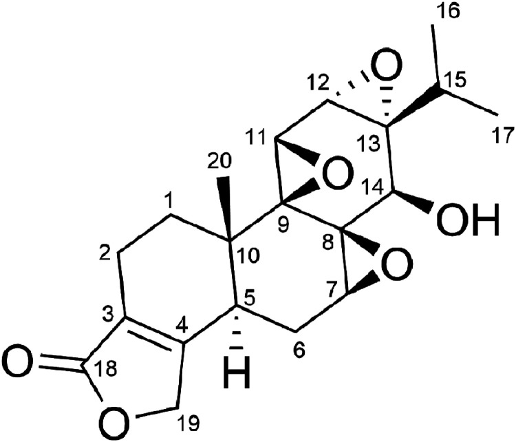 The antioxidant effect of triptolide contributes to the therapy in a collagen-induced arthritis rat model.