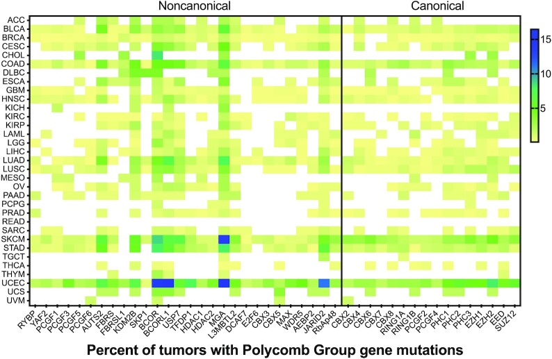 Polycomb group proteins in cancer: multifaceted functions and strategies for modulation.