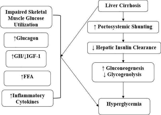 Cystic fibrosis related liver disease and endocrine considerations