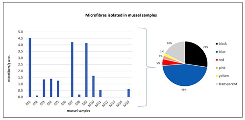 Occurrence of potential plastic microfibers in mussels and anchovies sold for human consumption: Preliminary results.