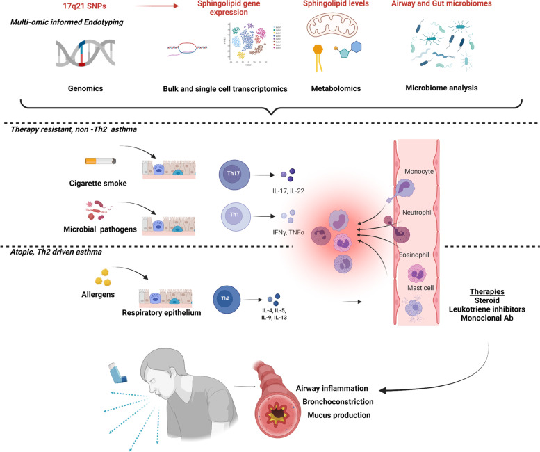 Perinatal origins of chronic lung disease: mechanisms-prevention-therapy-sphingolipid metabolism and the genetic and perinatal origins of childhood asthma.